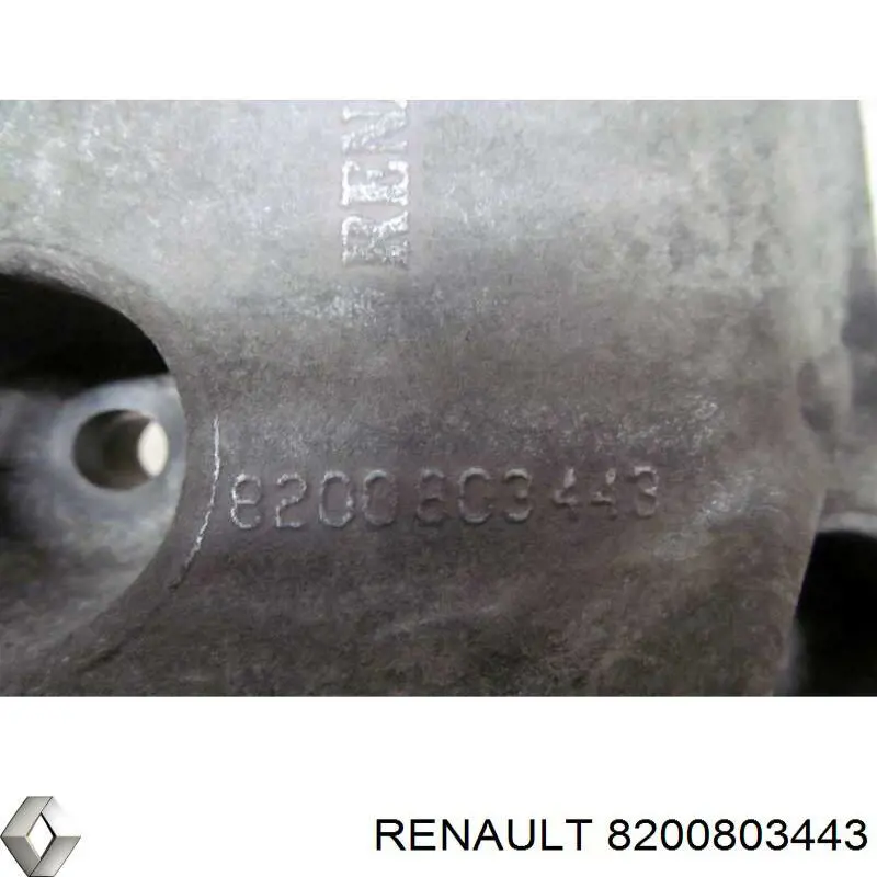  8200803443 Renault (RVI)