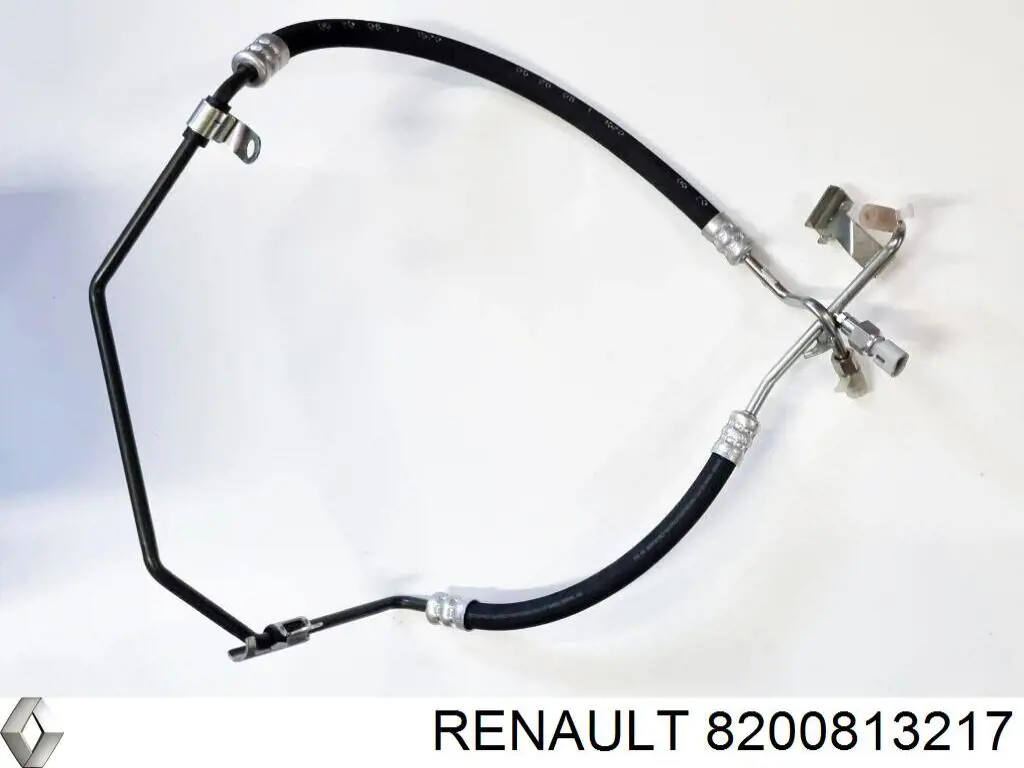 Патрубок високого тиску гідропідсилювача Renault (RVI) 8200813217 ціна, від 219.55 USD