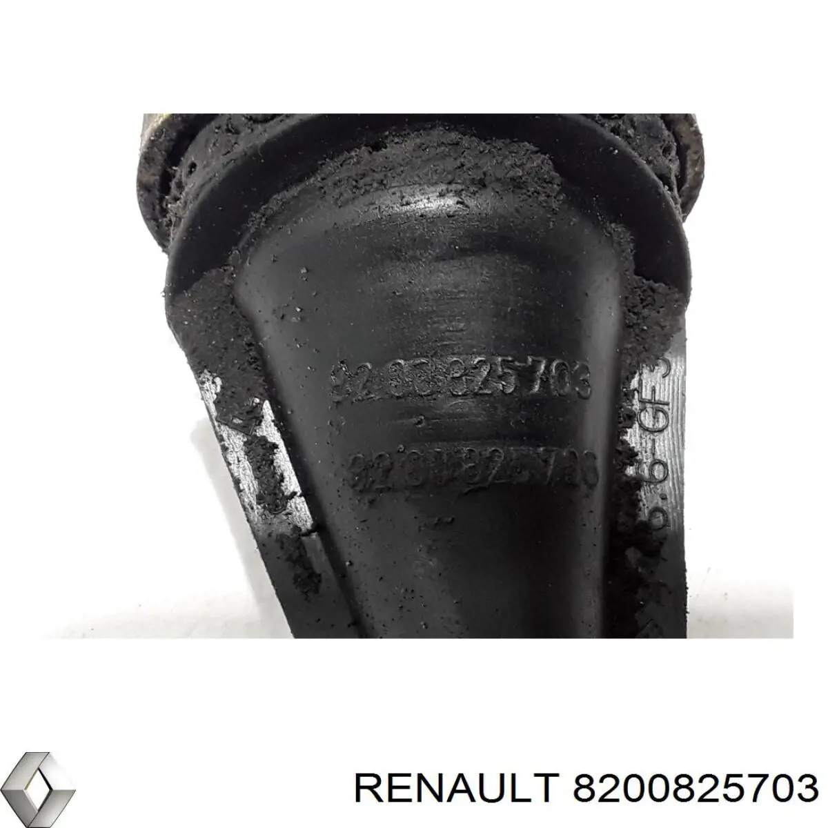  8200825703 Renault (RVI)