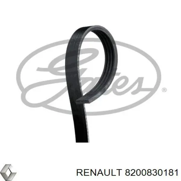 Ремінь приводний, агрегатів 8200830181 Renault (RVI)