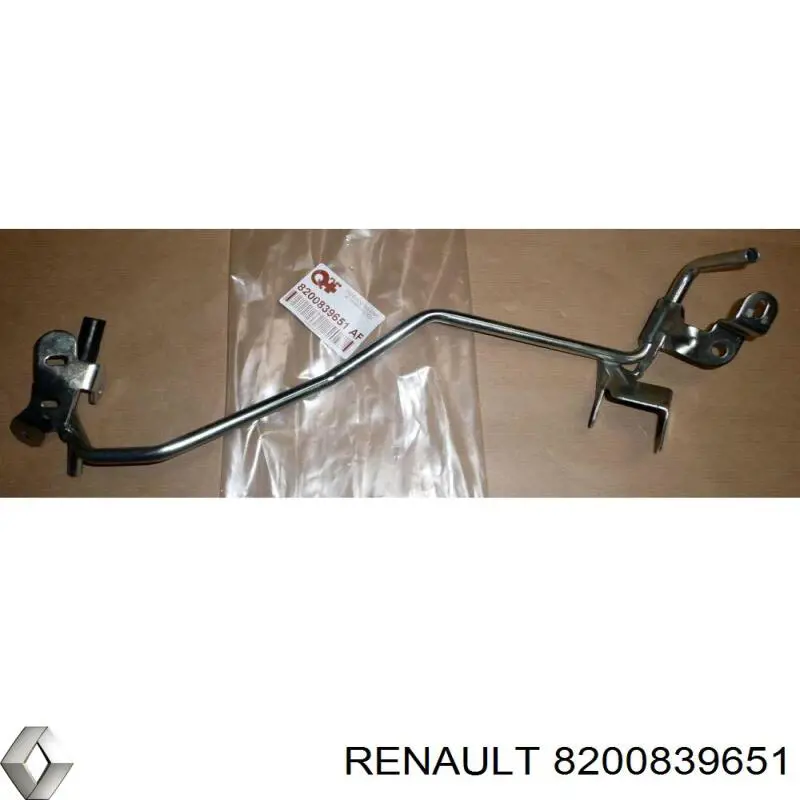 8200839651 Renault (RVI) 