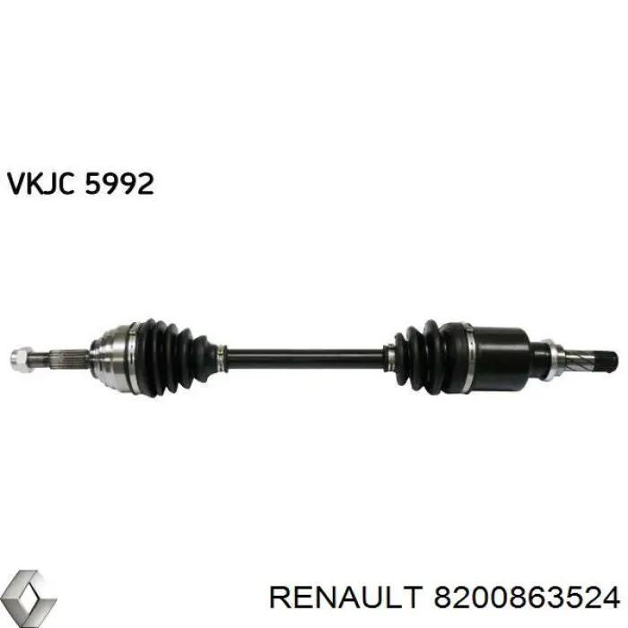  8200863524 Renault (RVI)