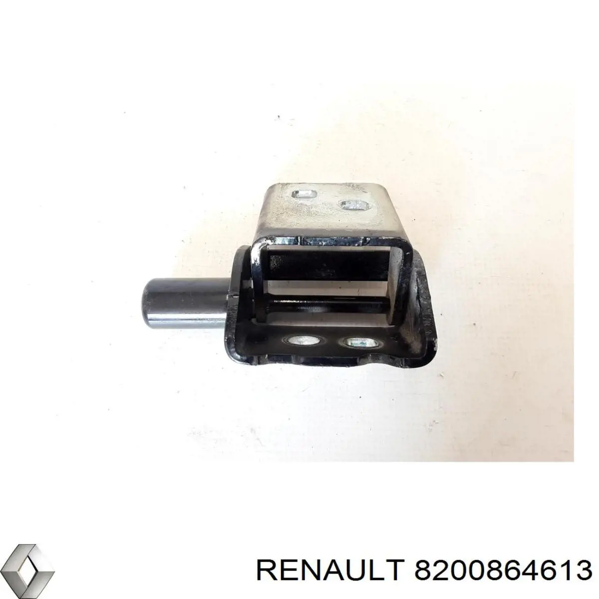  8200864613 Renault (RVI)