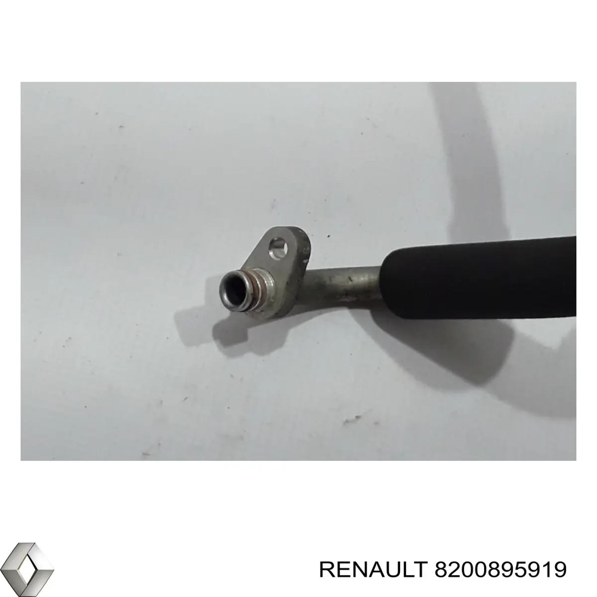  8200895919 Renault (RVI)