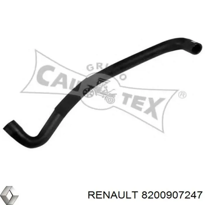 Купити 8200907247 Renault (RVI) Шланг/патрубок радіатора охолодження, нижній