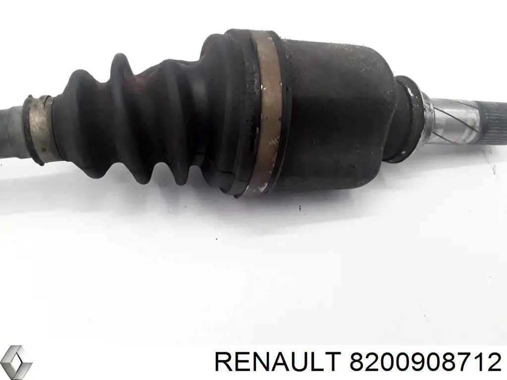  8200908712 Renault (RVI)