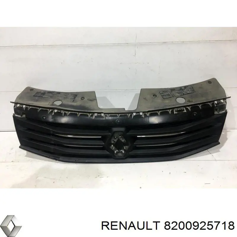 Купити 8200925718 Renault (RVI) Захисна решітка радіатора