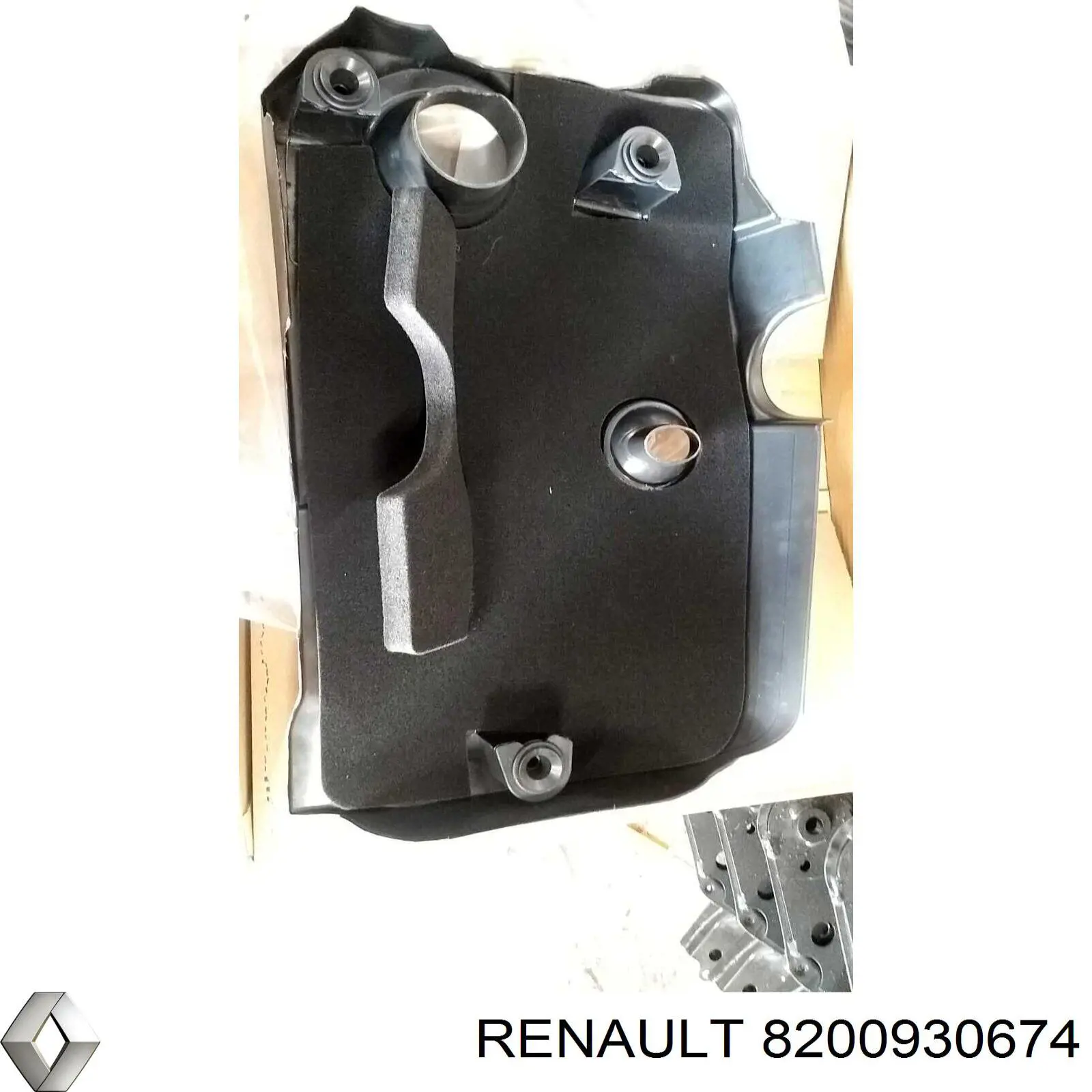  8200930674 Renault (RVI)