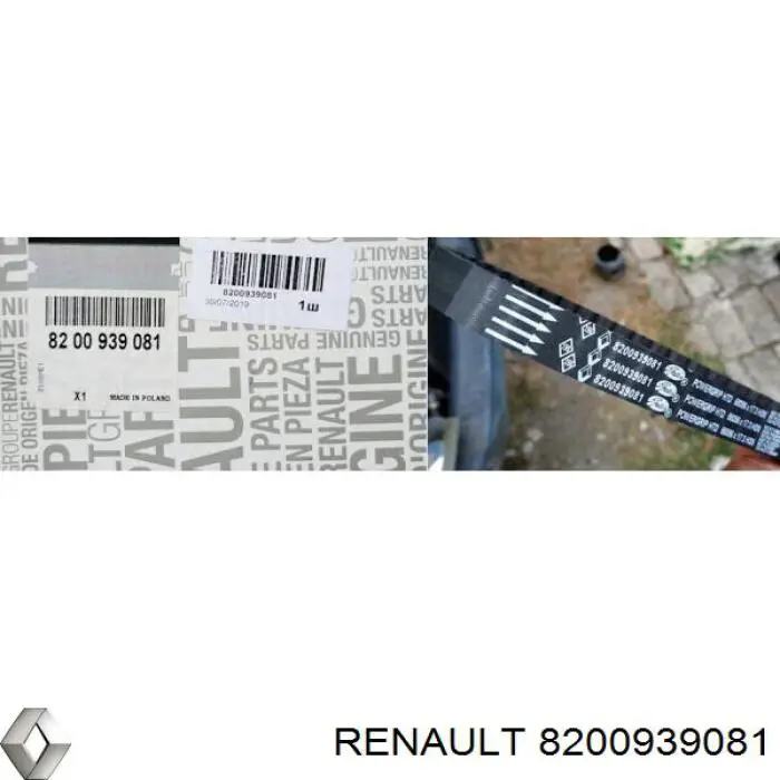 Купити 8200939081 Renault (RVI) Ремінь газорозподільного механізму