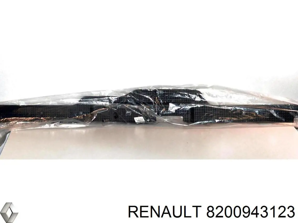 Купити 8200943123 Renault (RVI) 