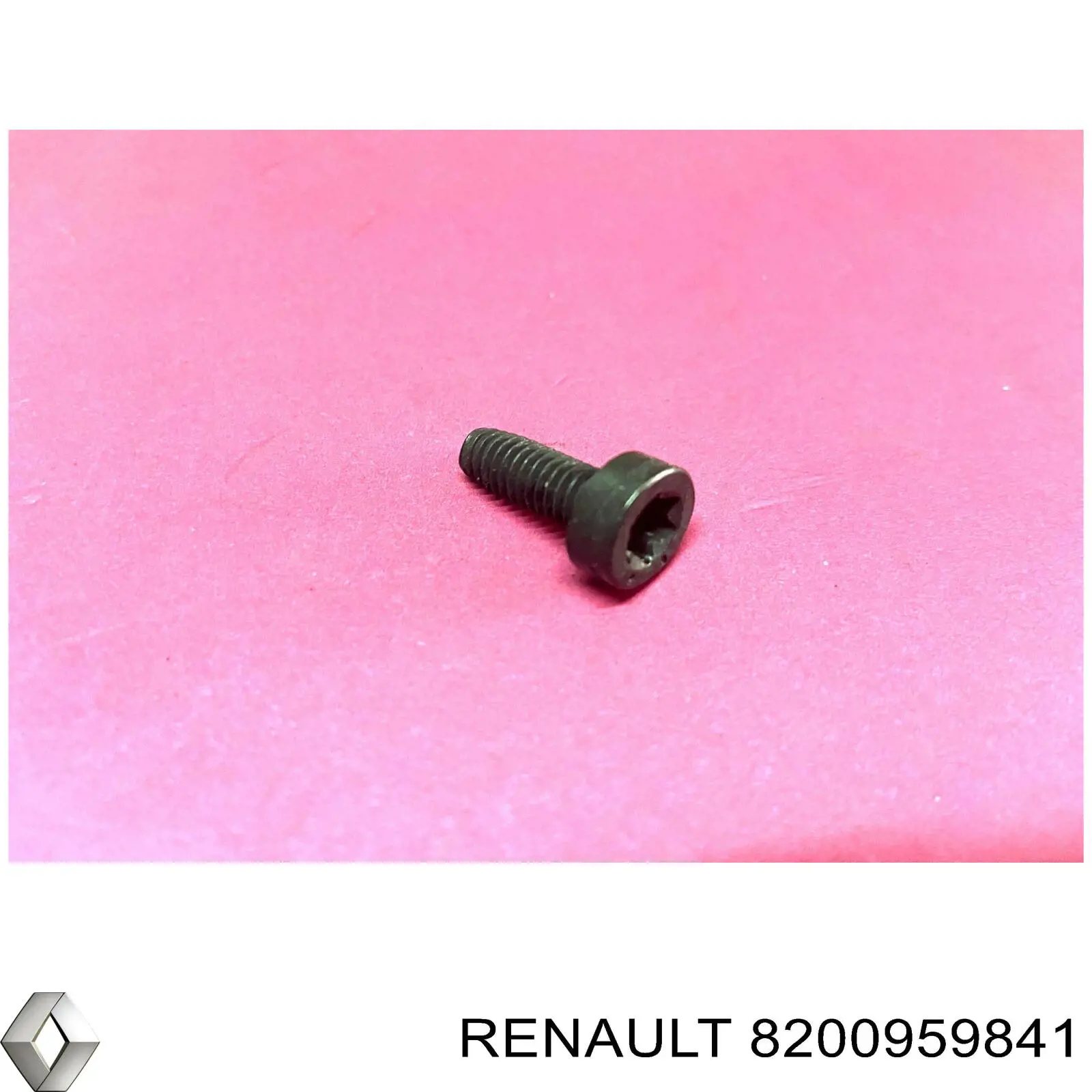 Болт/гайка кріплення Renault Laguna 1 (B56) (Рено Лагуна)