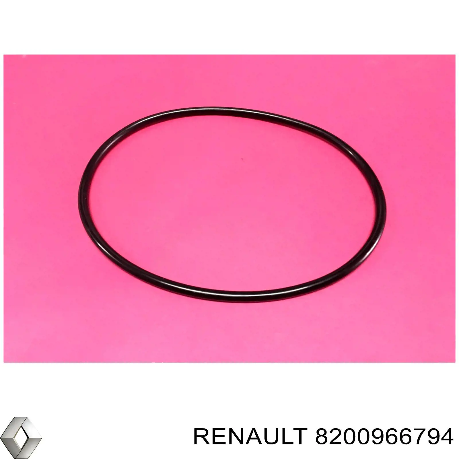  331497062R Renault (RVI)