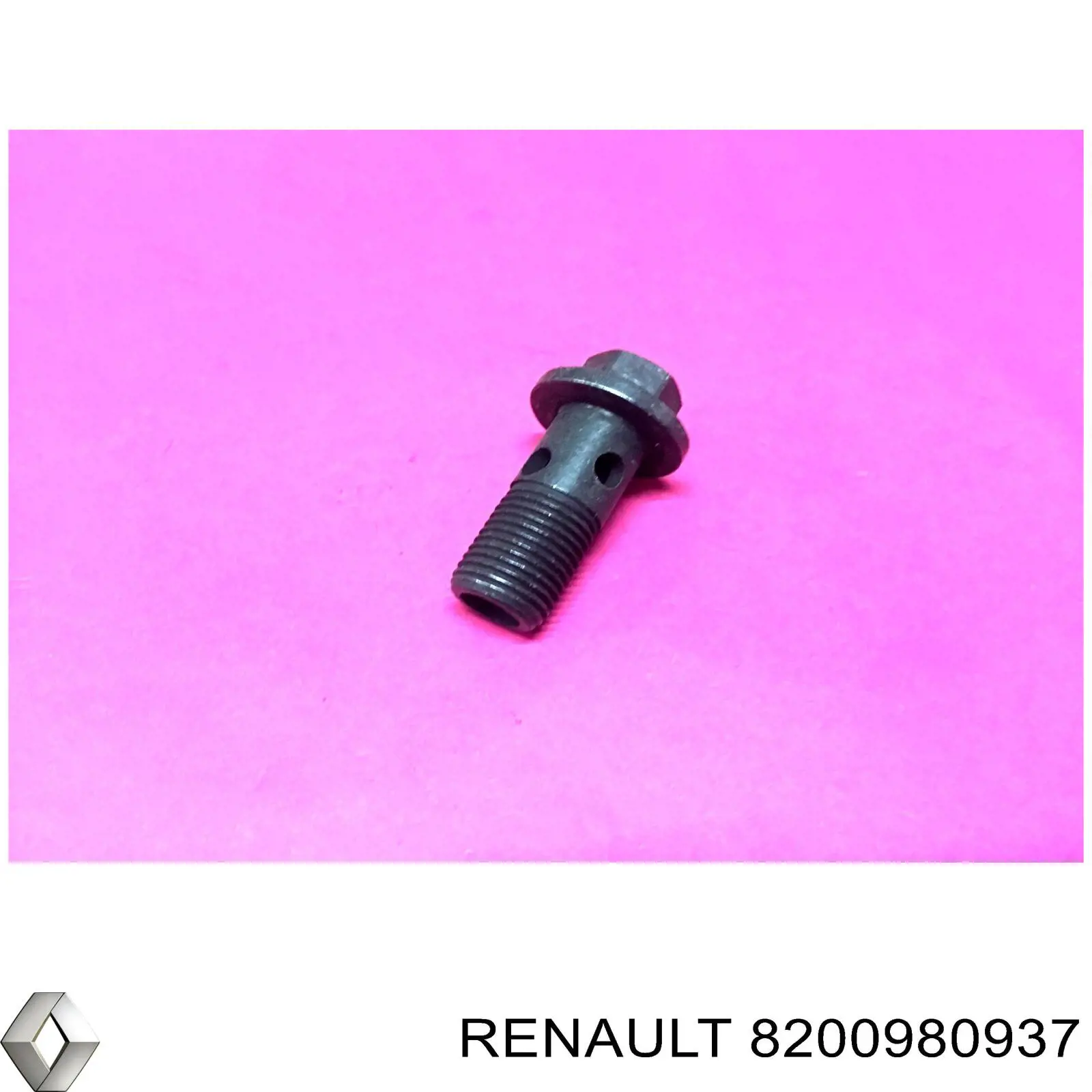 Болт трубки турбіни подачі масла Renault (RVI) 8200980937 ціна, від 4.20 USD