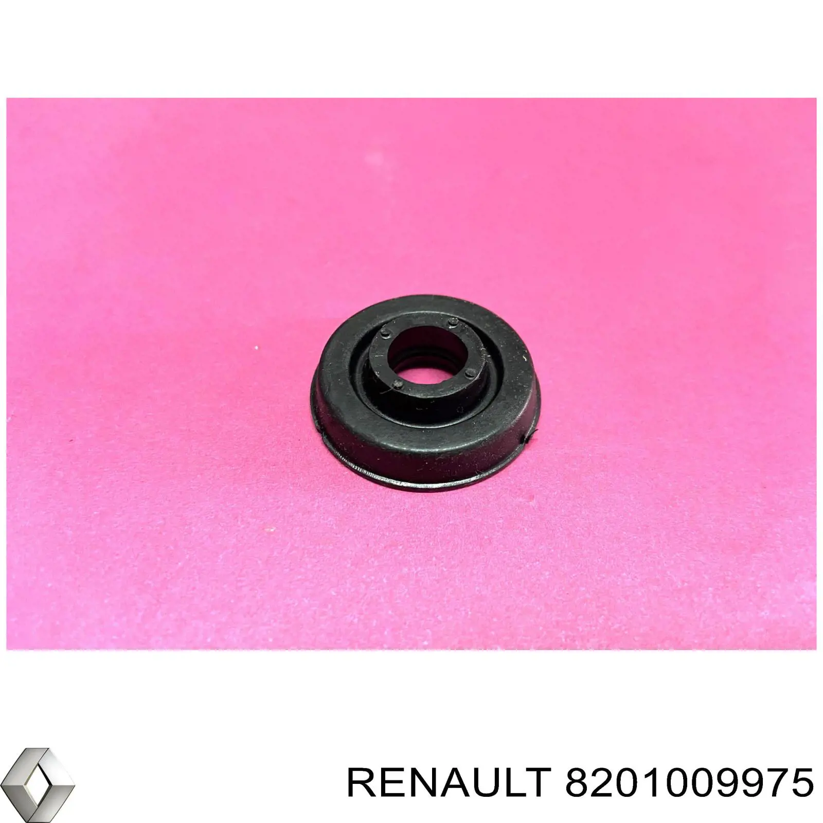 Купити 8201009975 Renault (RVI) Шайба болта клапанної кришки