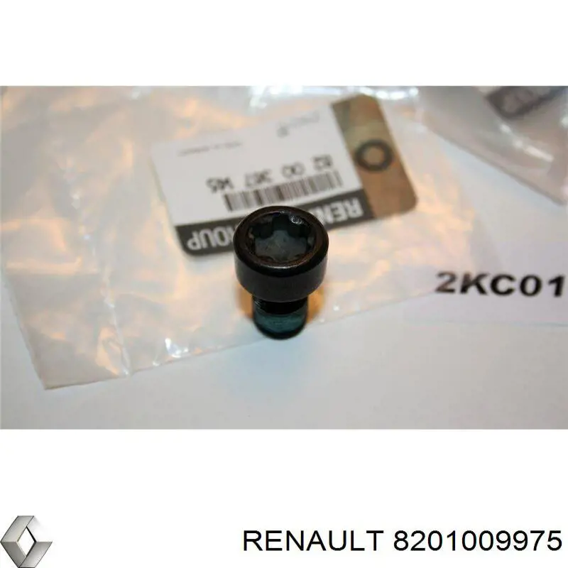 8201009975 Renault (RVI) шайба болта клапанної кришки