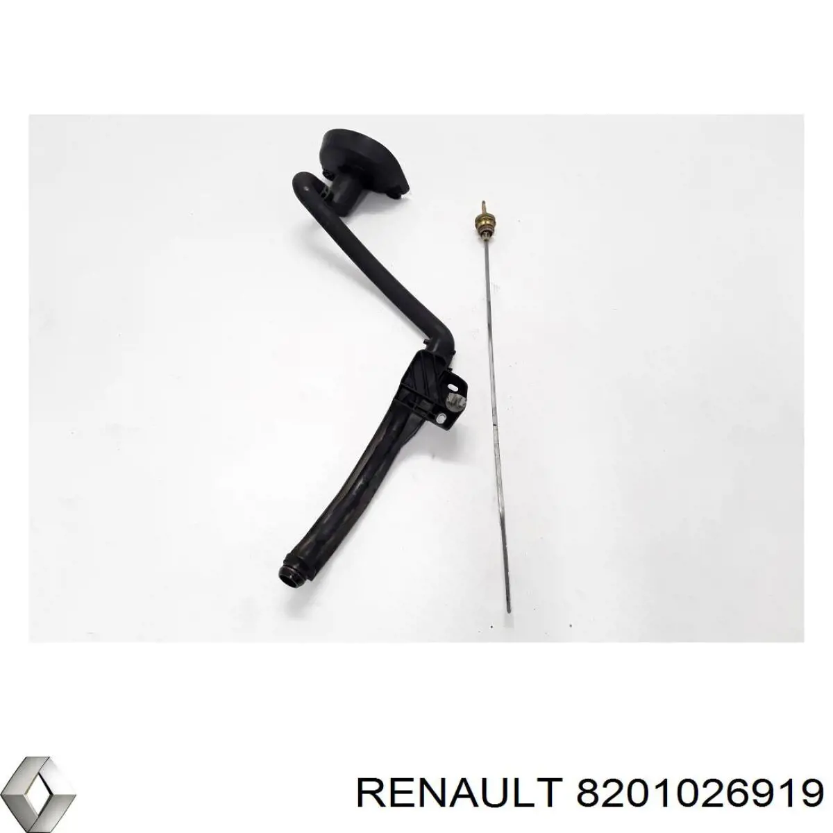 Купити 8201026919 Renault (RVI) Направляюча щупа-індикатора рівня масла в двигуні