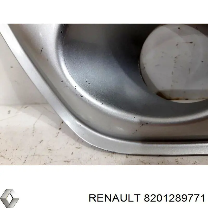 8201289771 Renault (RVI) 