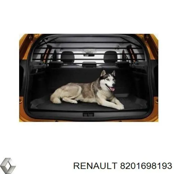 8201698193 Renault (RVI) 
