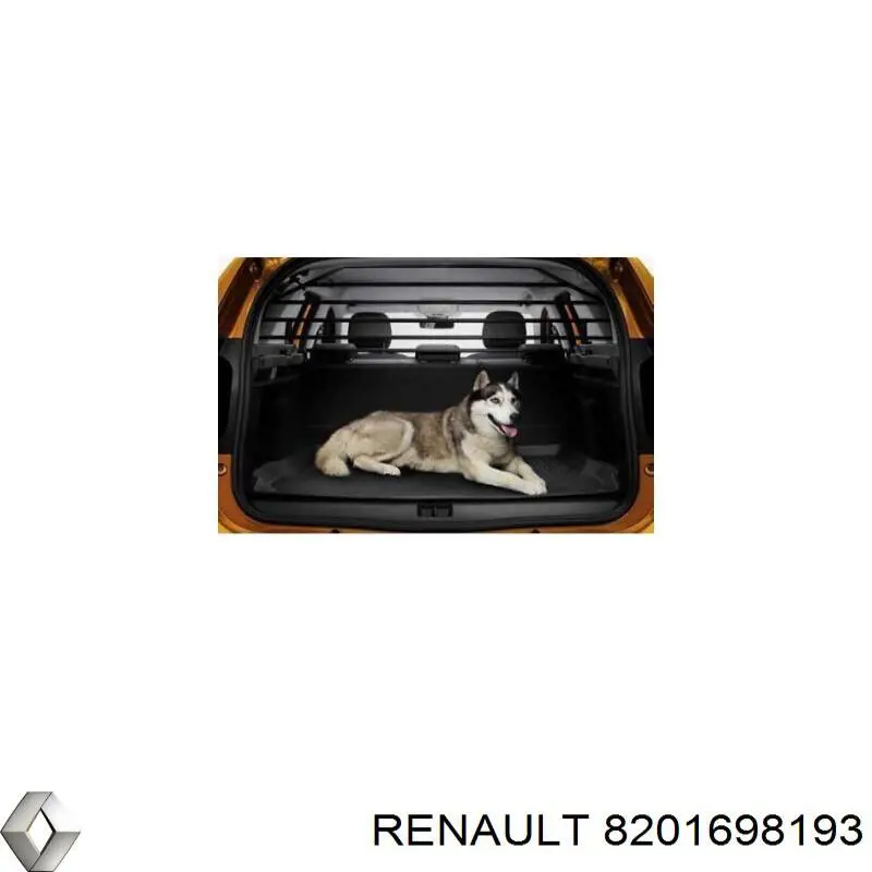  Renault (RVI) 8201698193 ціна, від 141.62 USD