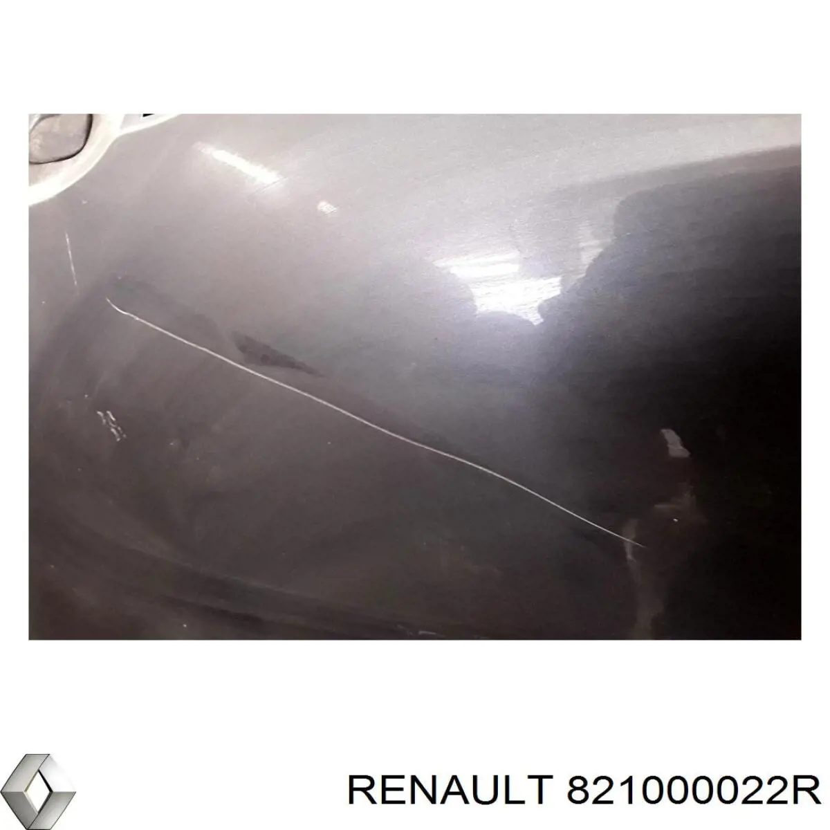 Двері задні, праві Renault (RVI) 821000022R ціна, від 100.34 USD