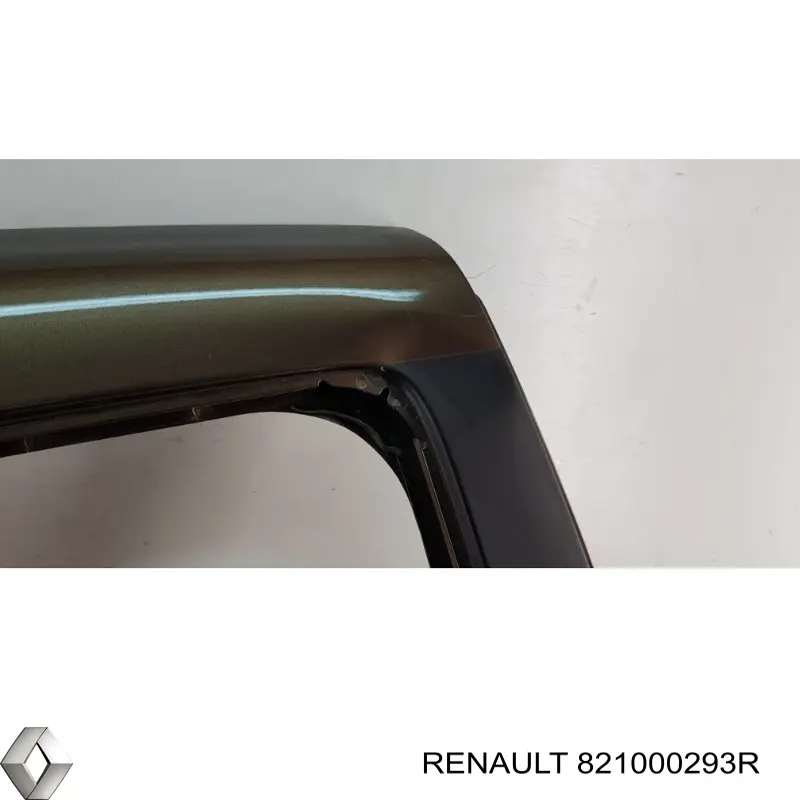 Двері задні, праві Renault (RVI) 821000293R ціна, від 201.16 USD