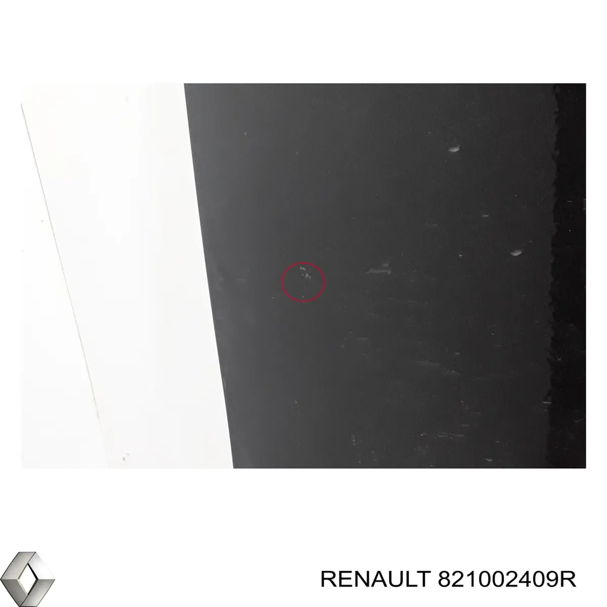 Двері бічні (зсувні), права 821002409R Renault (RVI)