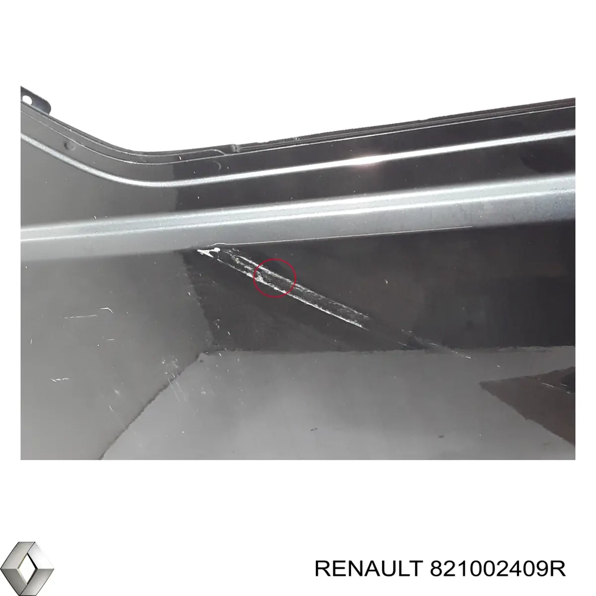821002409R Renault (RVI) Двері бічні (зсувні)