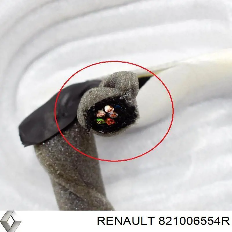 Двері задні, праві Renault (RVI) 821006554R ціна, від 361.07 USD