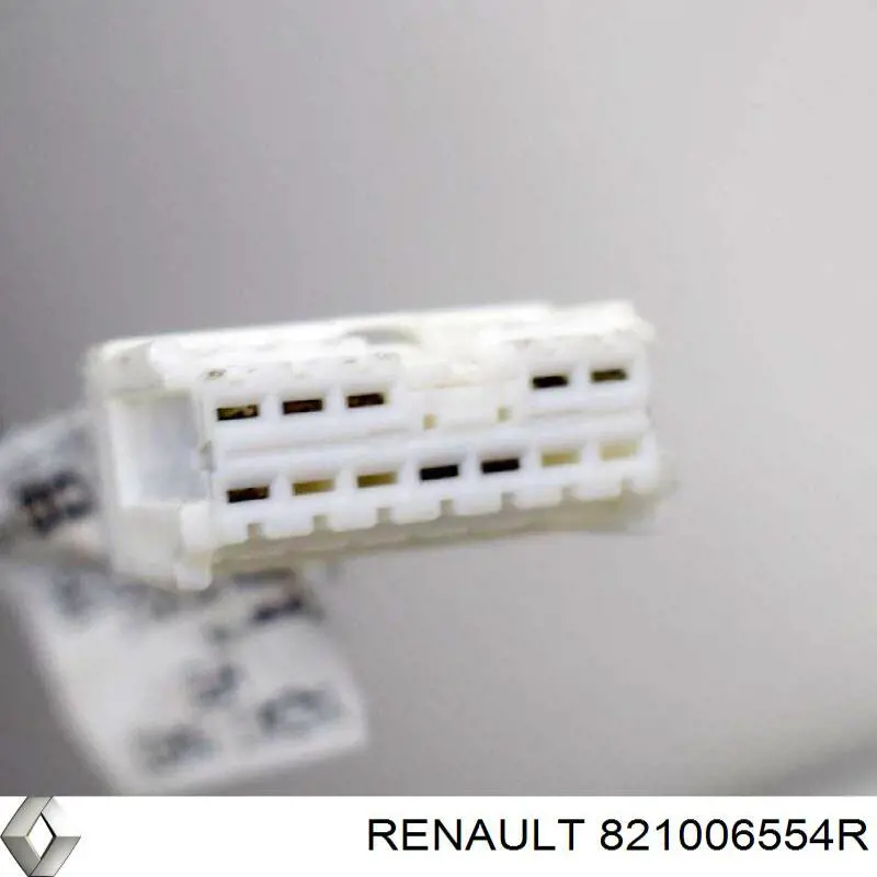 Купити 821006554R Renault (RVI) Двері задні, праві