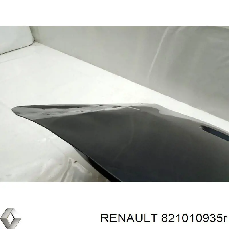  821010935R Renault (RVI)