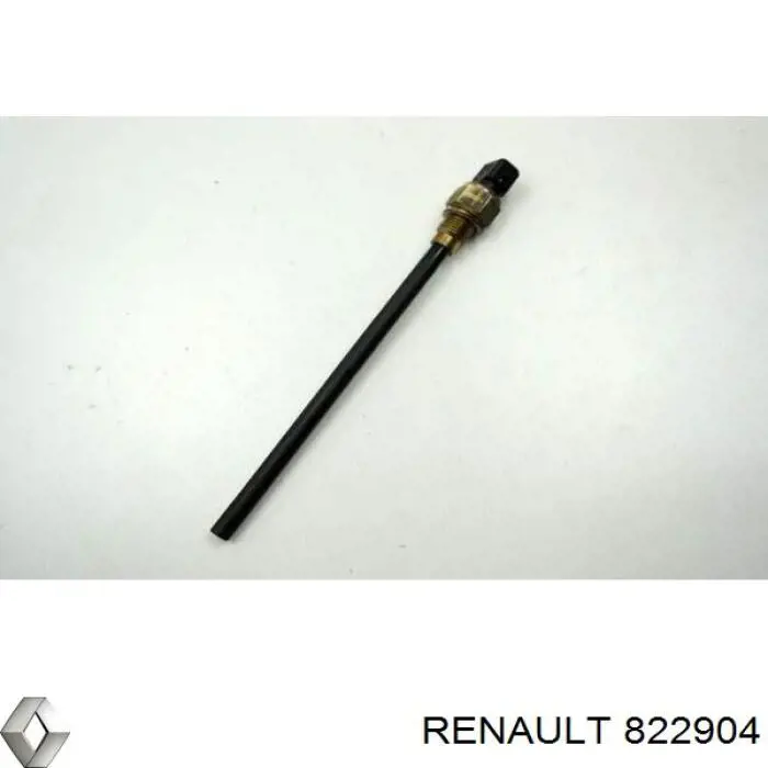 822904 Renault (RVI) 