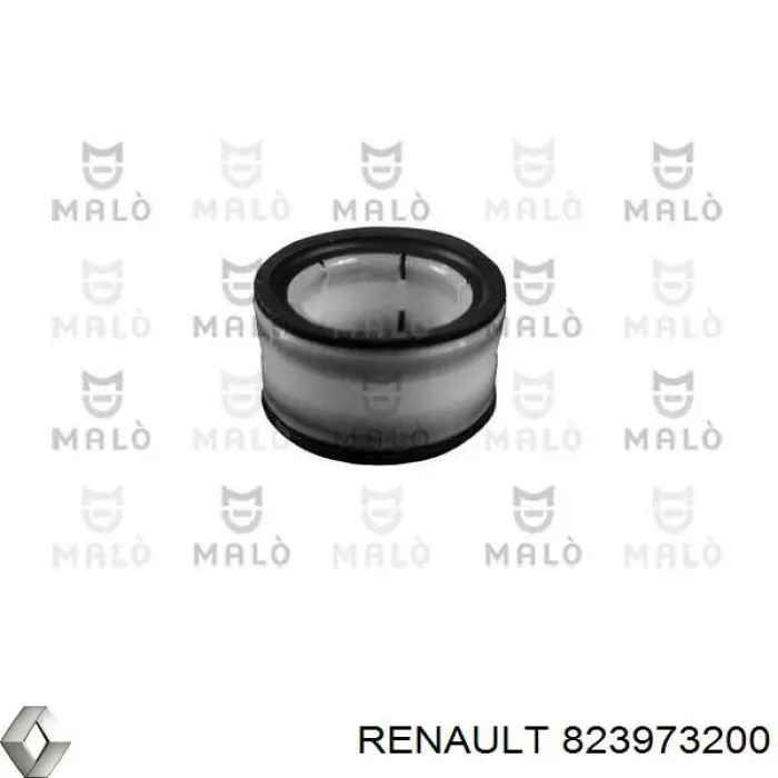  823973200 Renault (RVI)