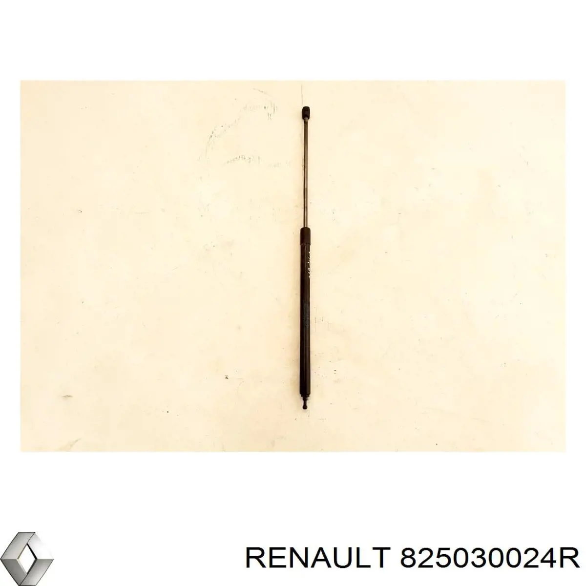 Замок задньої двері, лівої 825030024R Renault (RVI)