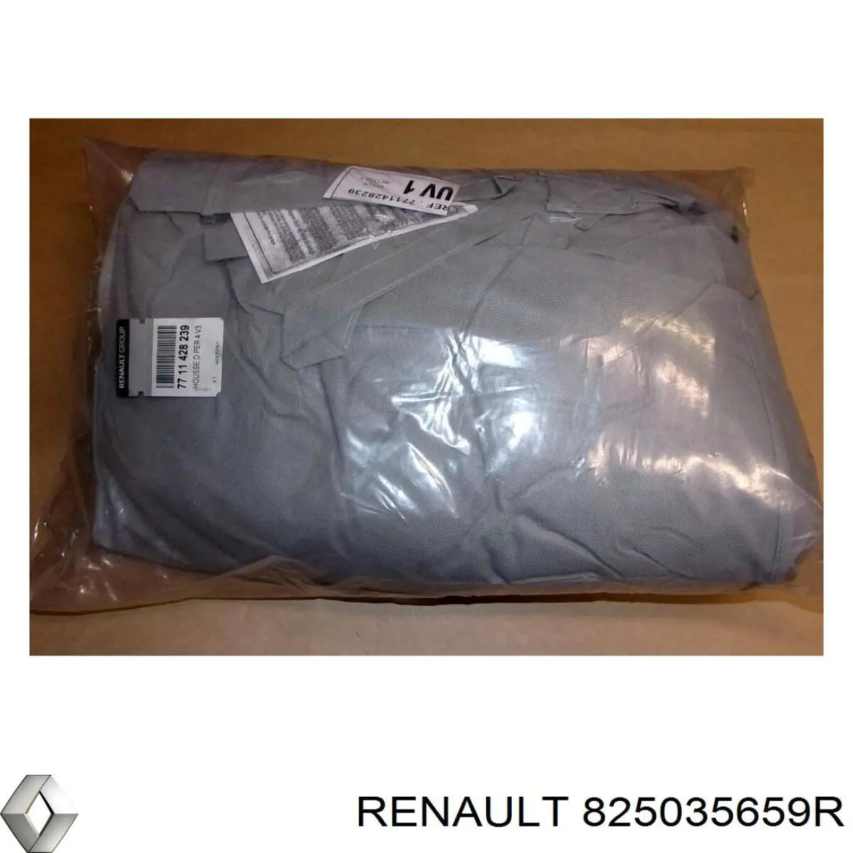  825035659R Renault (RVI)