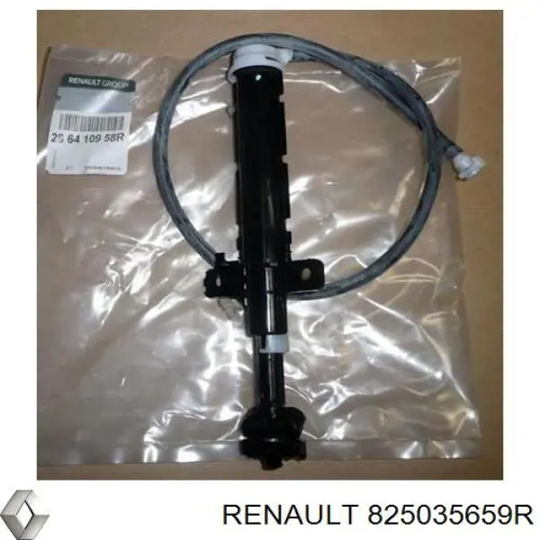  825035659R Renault (RVI)
