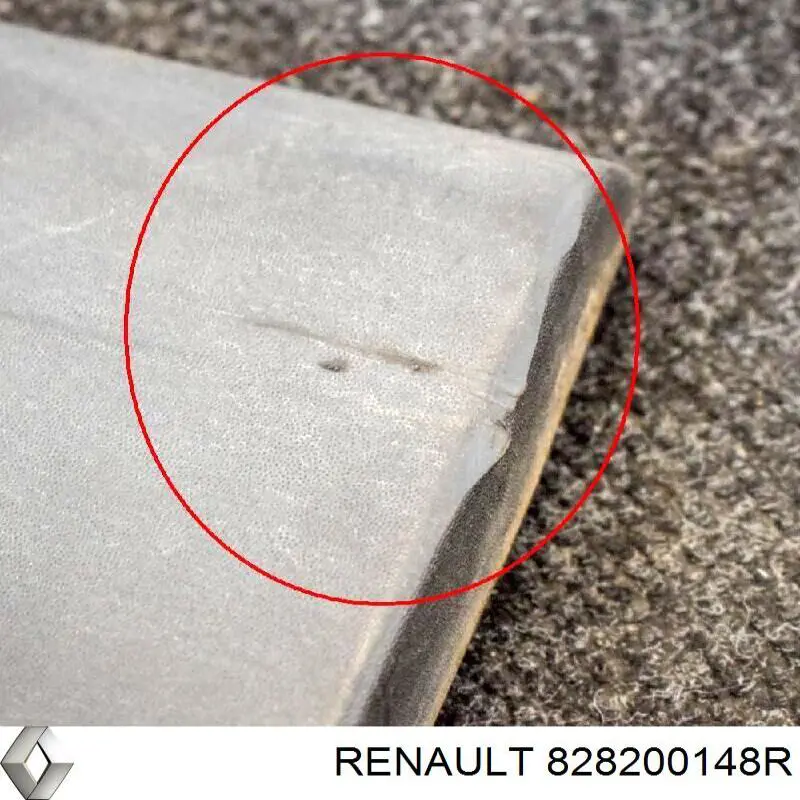 Купити 828200148R Renault (RVI) Молдинг бічний (зсувний) двері