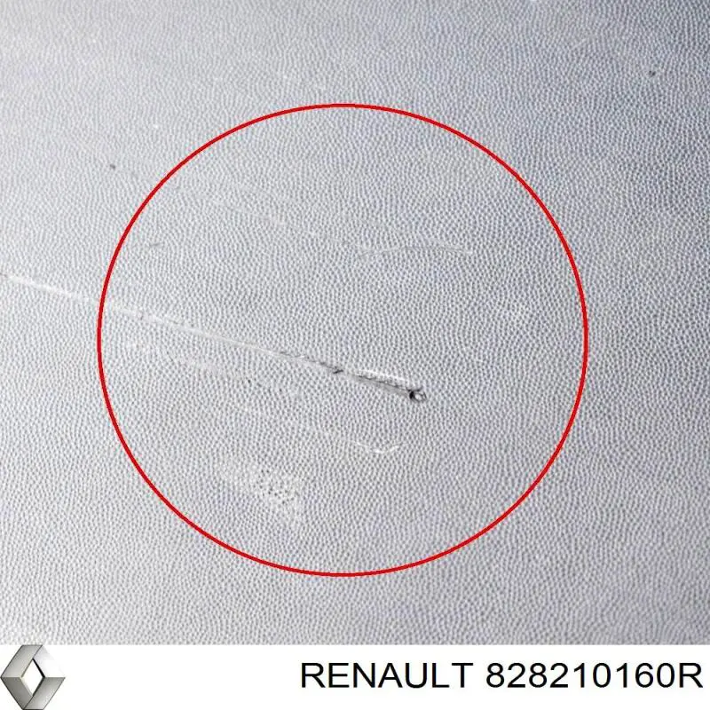 Купити 828210160R Renault (RVI) Молдинг бічний (зсувний) двері