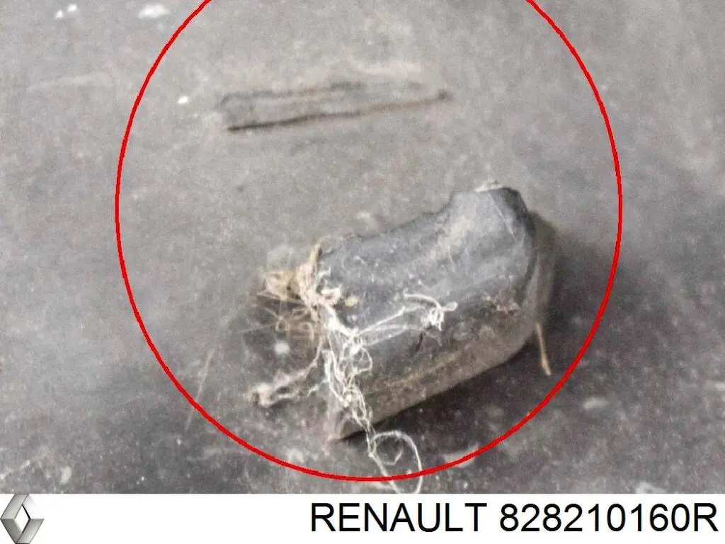 Купити 828210160R Renault (RVI) Молдинг бічний (зсувний) двері