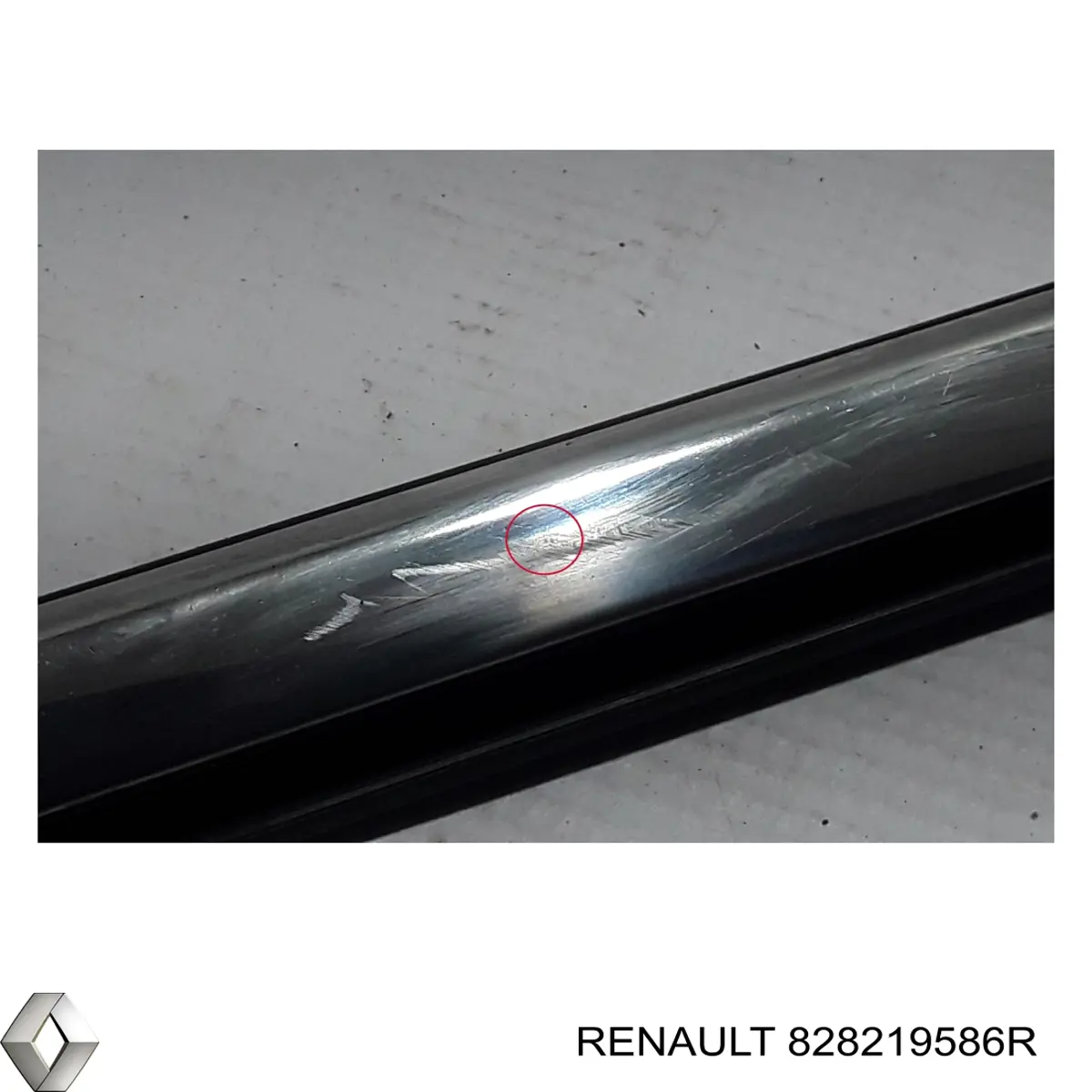  828219586R Renault (RVI)