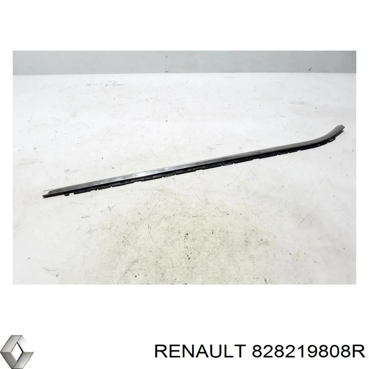 828219808R Renault (RVI) 