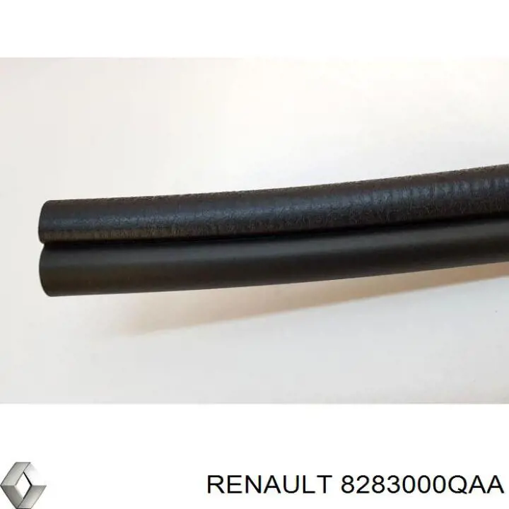  8283000QAA Renault (RVI)
