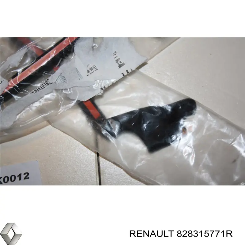 828315771R Renault (RVI) 