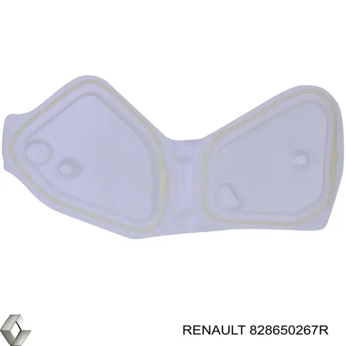 828650267R Renault (RVI) 
