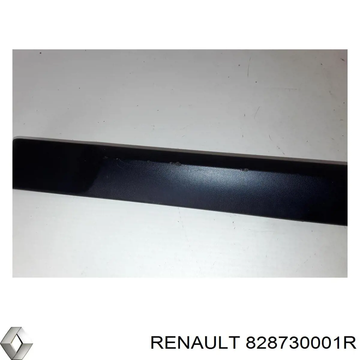 Купити 828730001R Renault (RVI) 