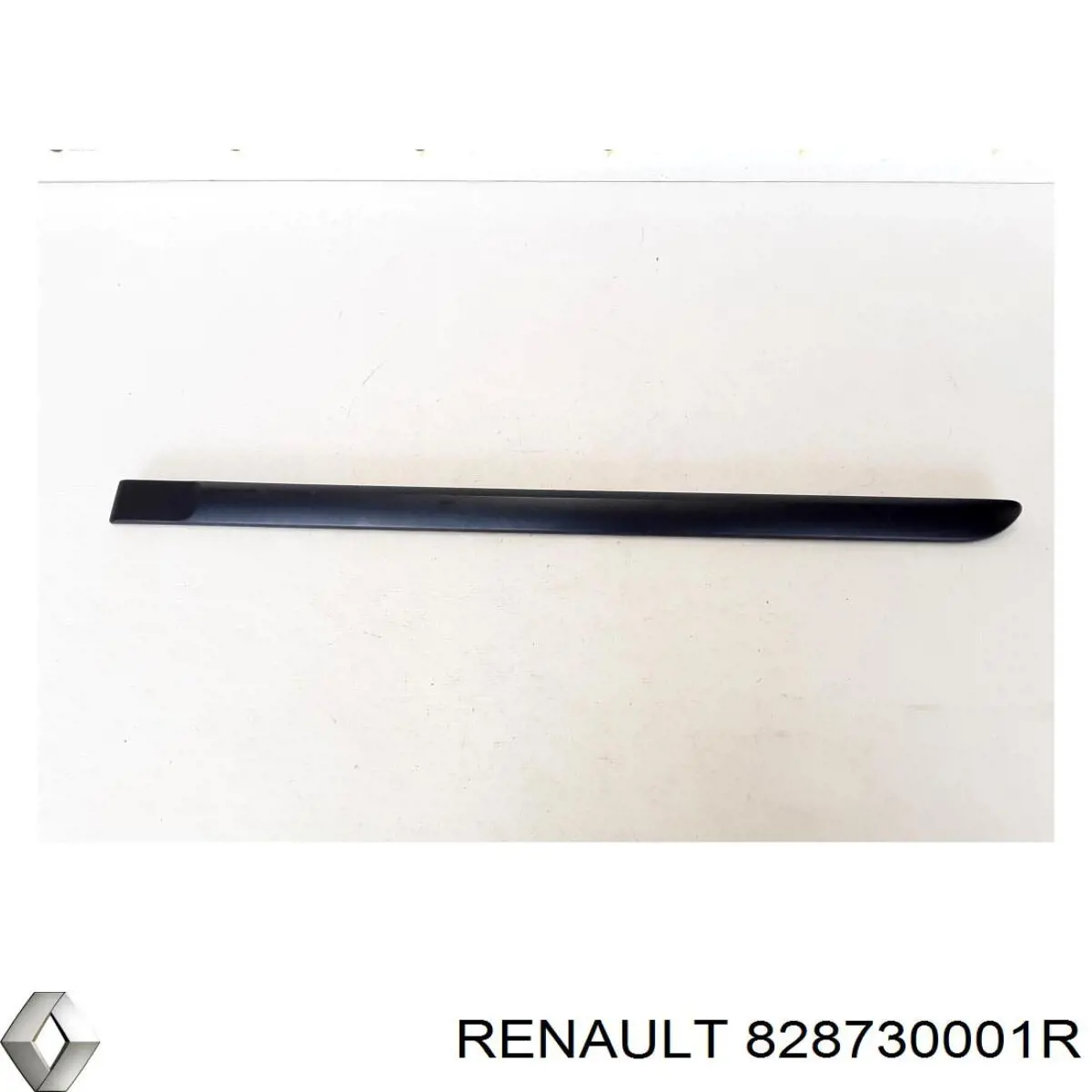 828730001R Renault (RVI) 