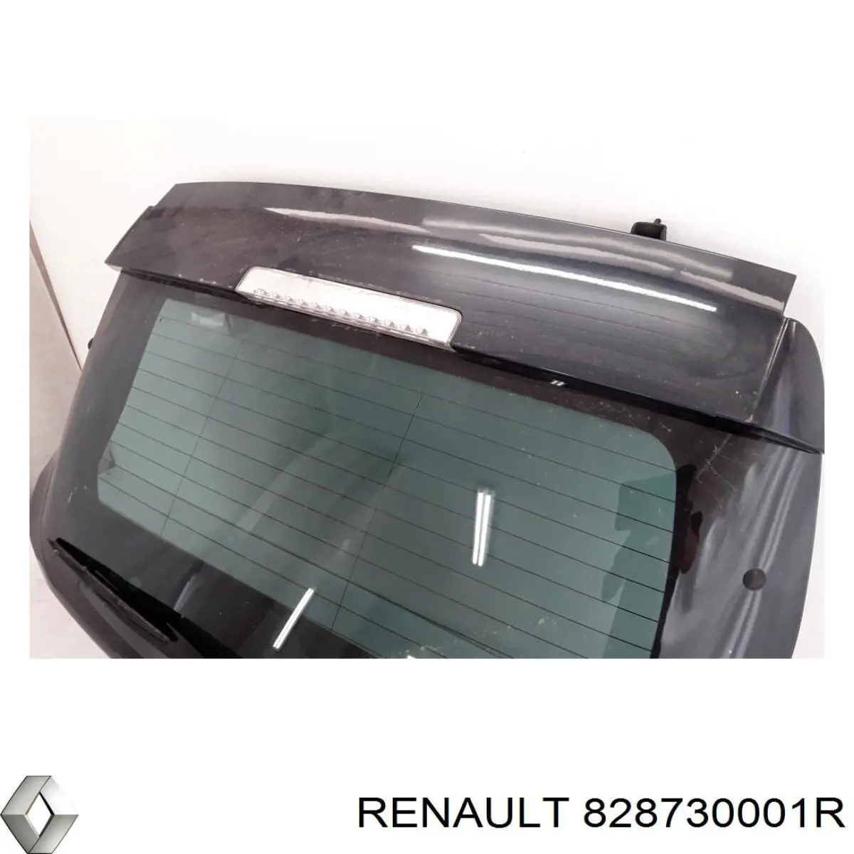  Renault (RVI) 828730001R