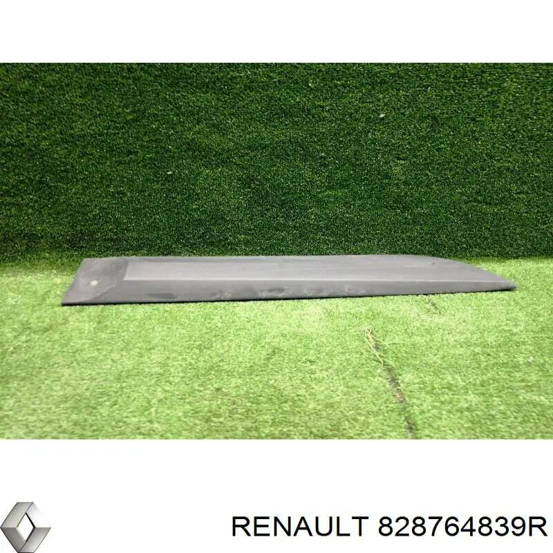 Купити 828764839R Renault (RVI) Молдинг задніх правих дверей