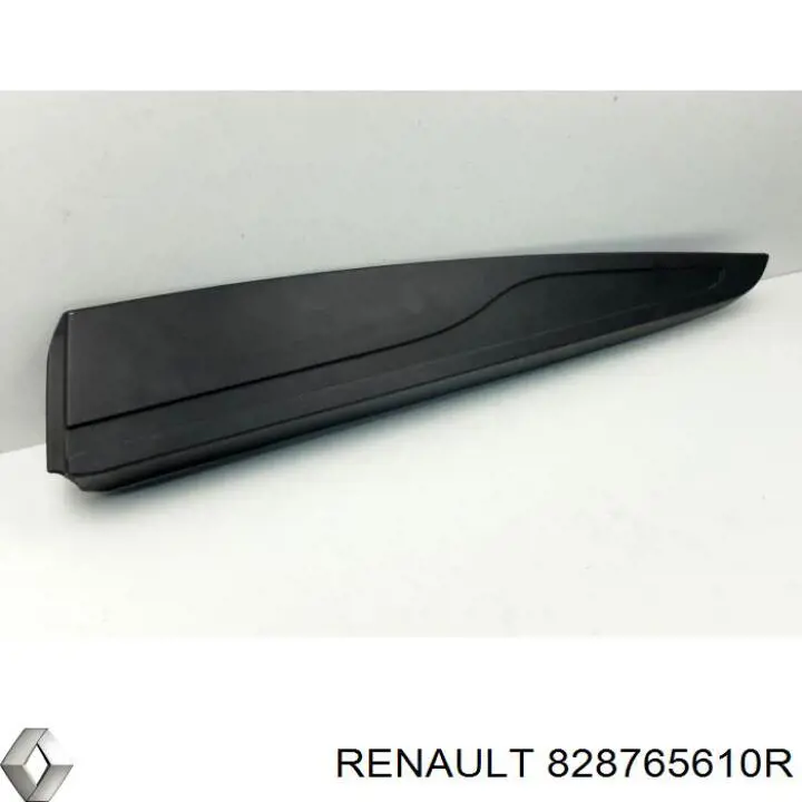 828765610R Renault (RVI) 