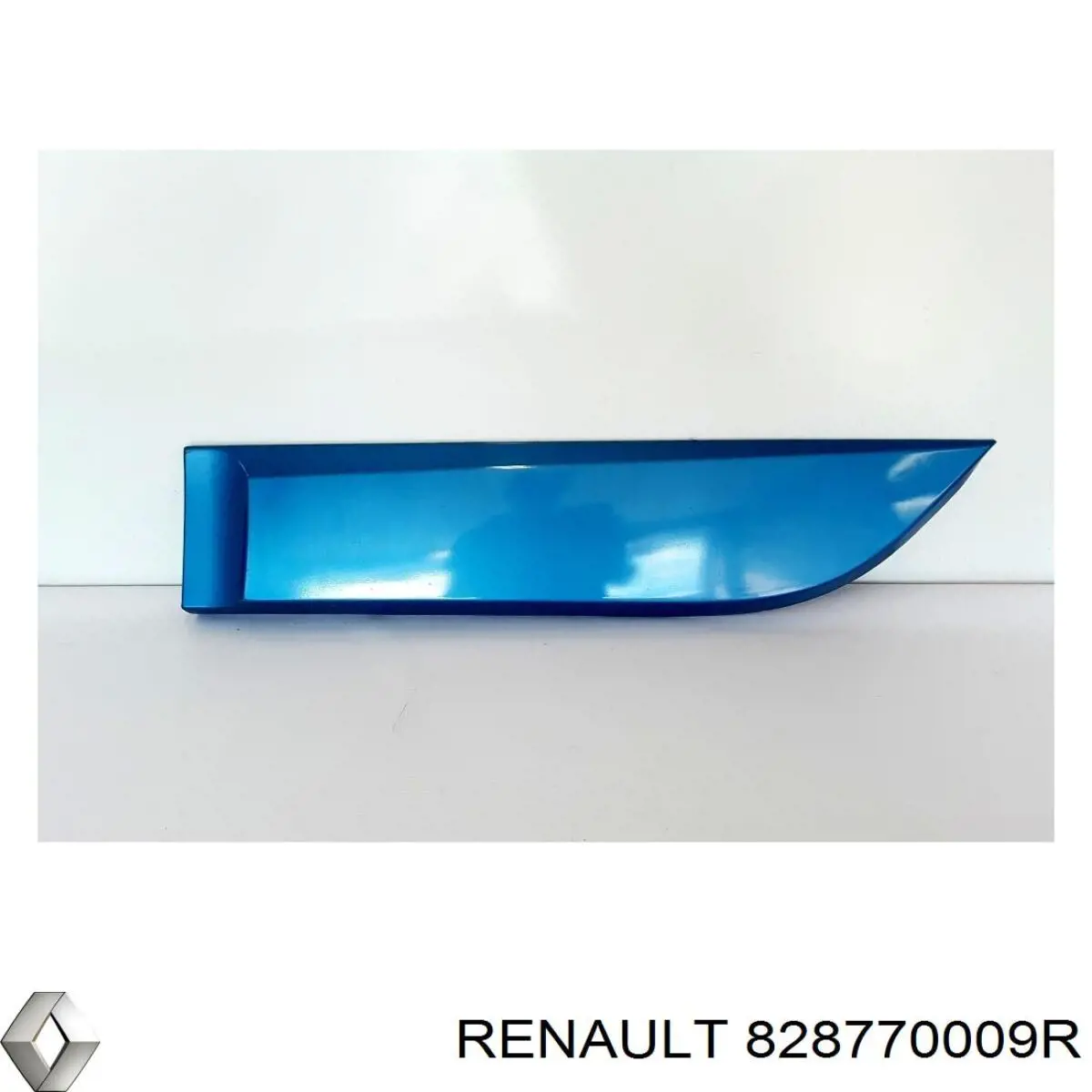828770009R Renault (RVI) 