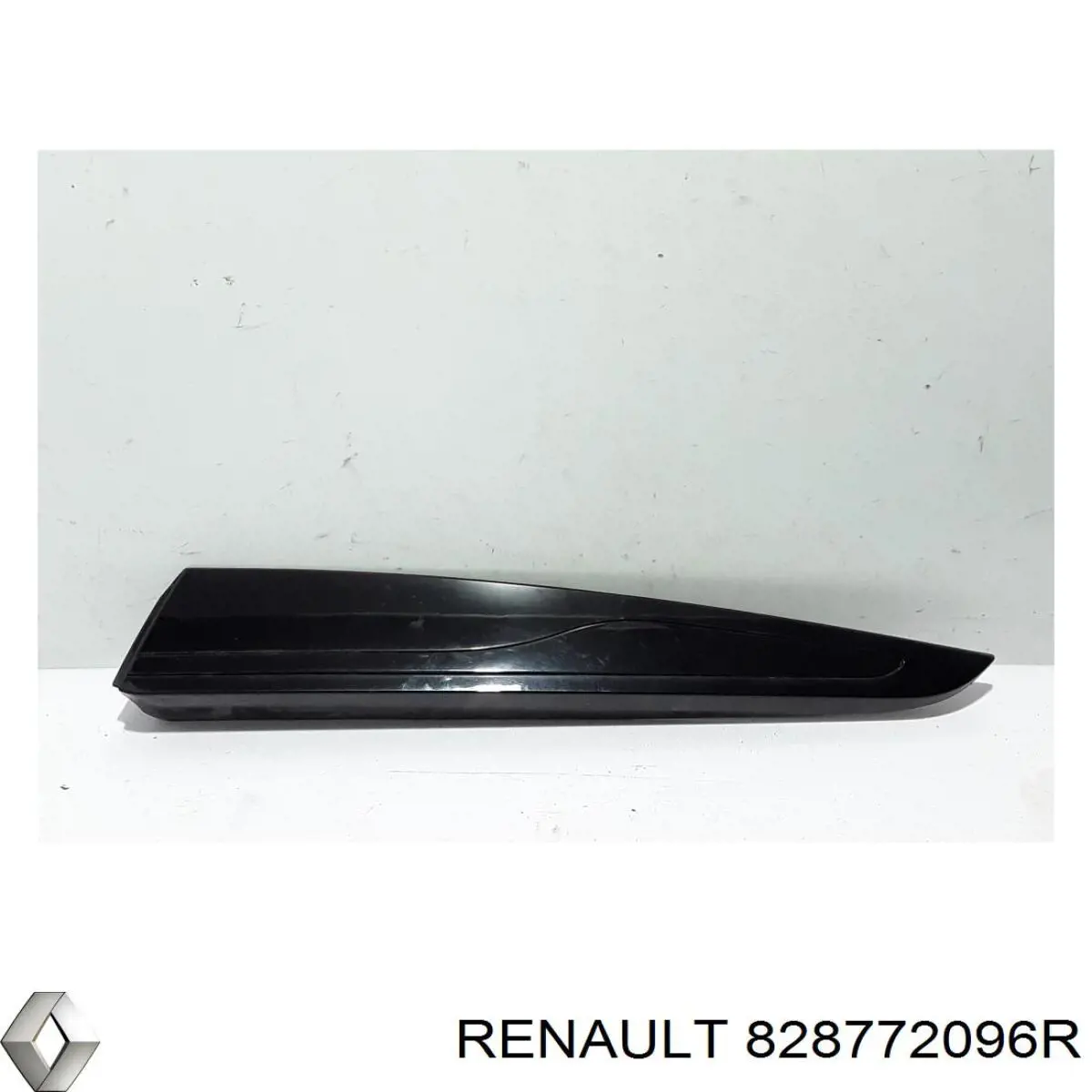 828772096R Renault (RVI) Накладка задніх дверей